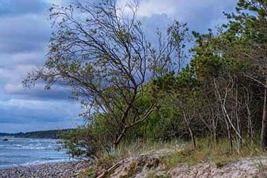 2018年季后赛：库里百发百中的远距离三分，打破多项NBA历史纪录，库里2018总决赛数据统计