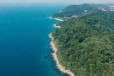 2018年东部决赛：凯尔特人在与骑士的系列赛中，塔图姆多次关键得分帮助球队艰难赢得几场比赛，展现了年轻一代的崛起。